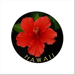 Hawaii Hibiscus Blooming Posters and Art